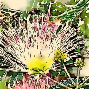 Meet your Posher, Martie